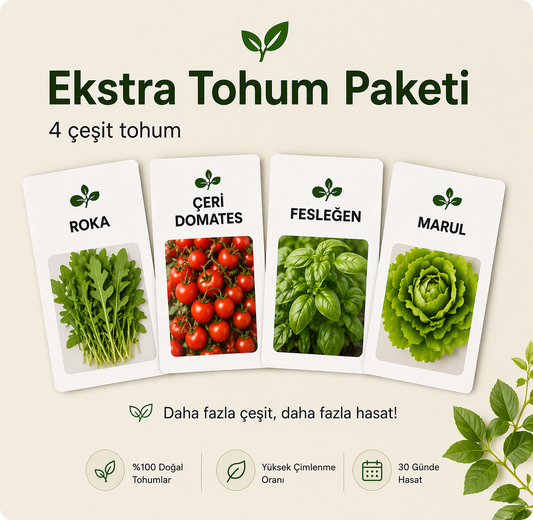 Ekstra Tohum Seti 🌱
